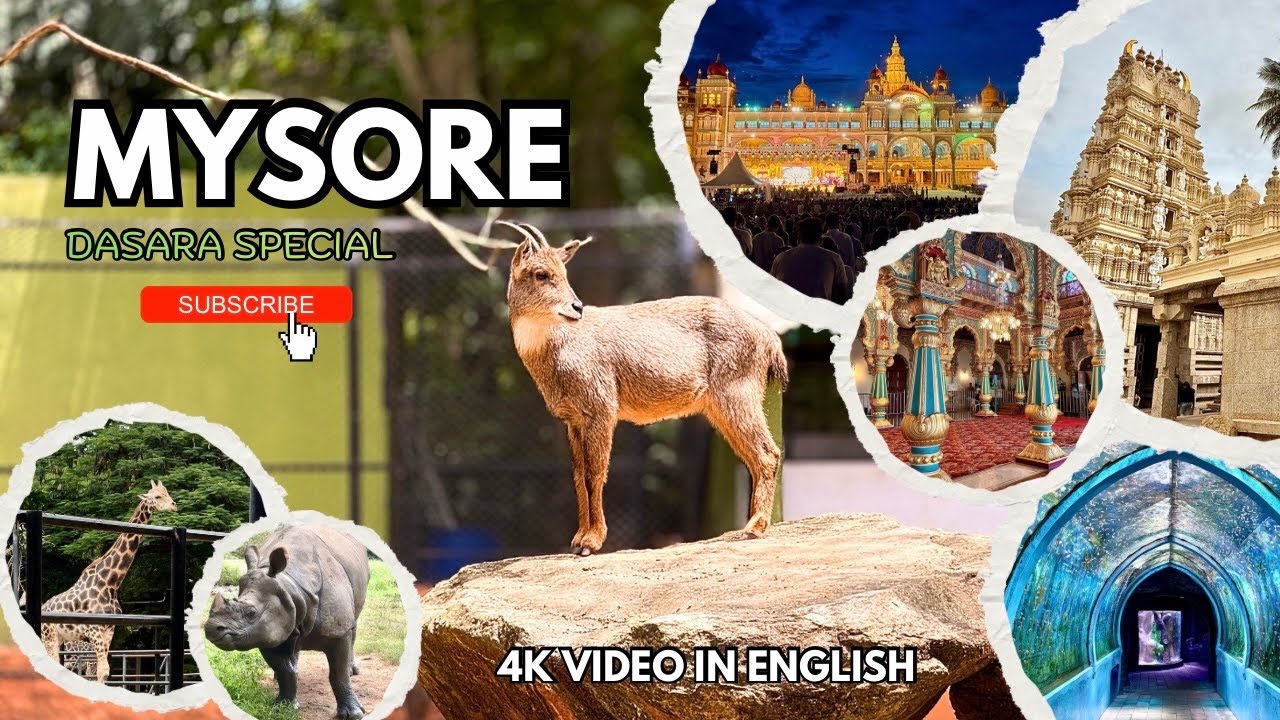 3D/2N in Mysore | Comp Guide - ₹🚆 Train, Palace 👑, KSIC Silk Factory, Zoo, Shopping 🛍️, Food & More