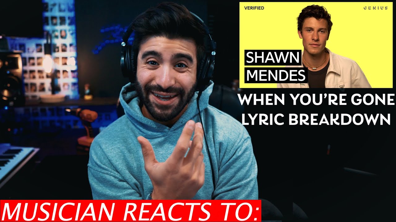 Shawn Mendes - When You're Gone - Lyric Reaction