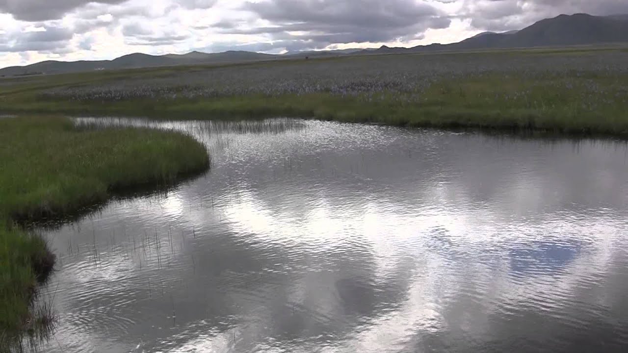 Springtime At Centenial Marsh On The Camas Prairie, Idaho
