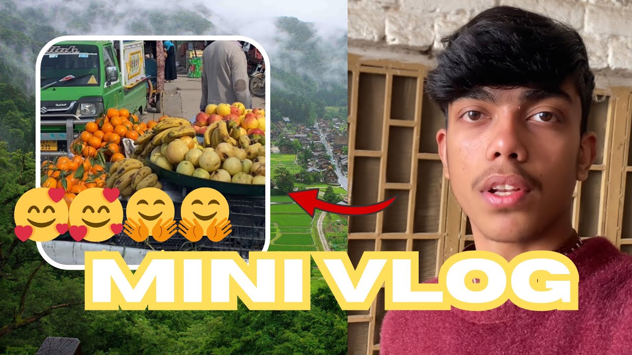 || Mini Vlog || DM Vlog official