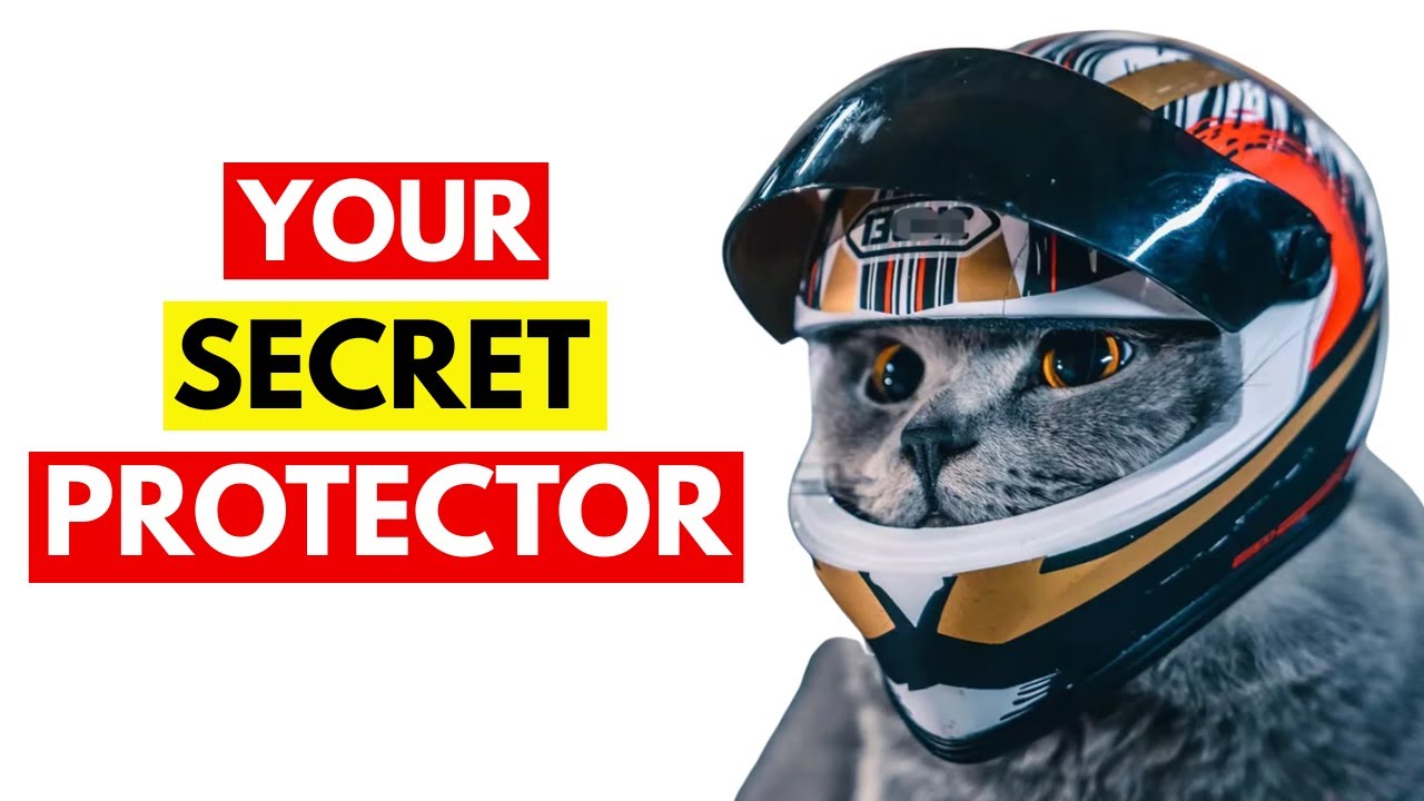 10 вещей, которые делают кошки, когда защищают вас.