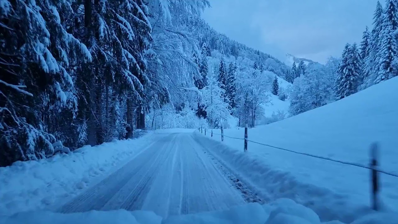 Guten Morgen Schnee