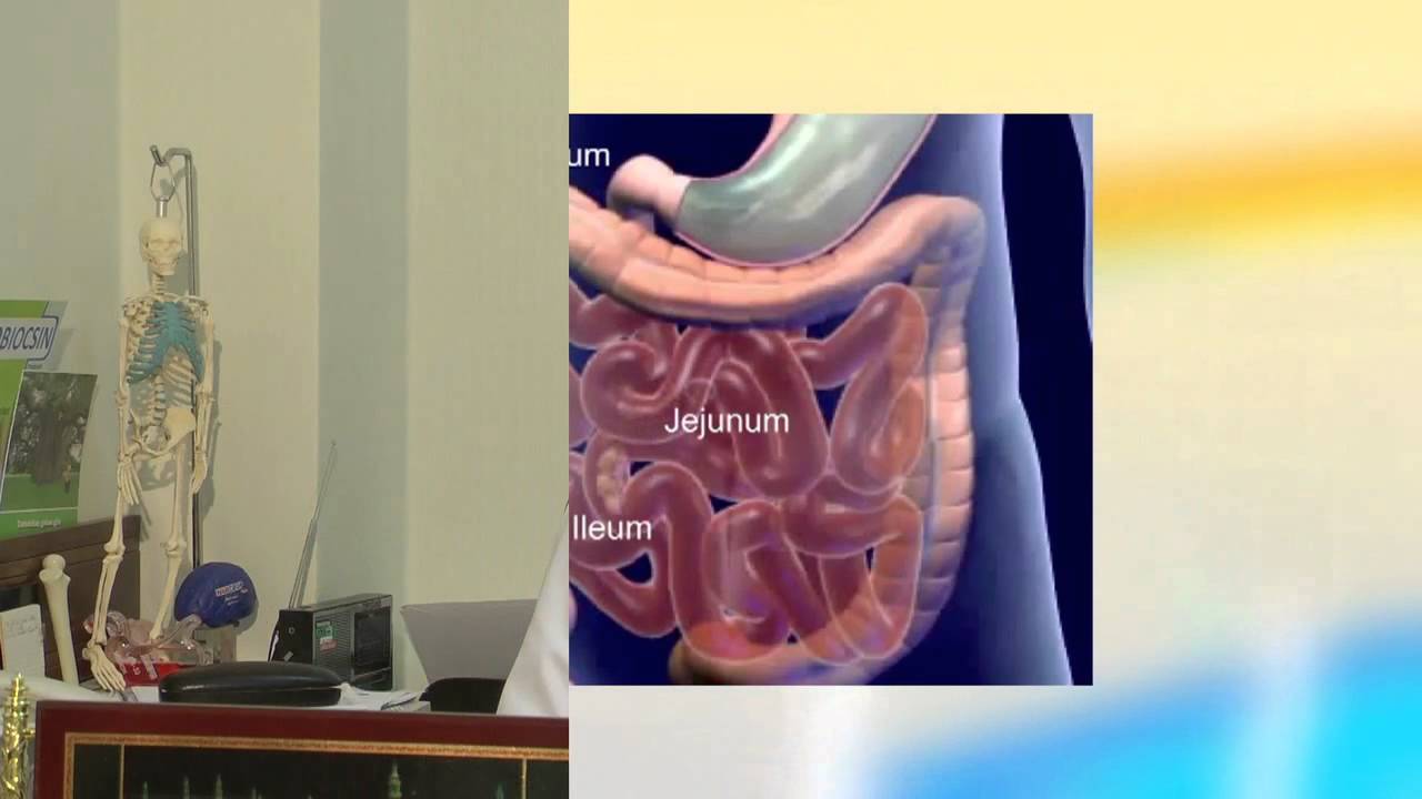Qiciqlanmish Bagirsaq Sindromu (TvTibb_Bunlari Bilmek Maraqlidir proqrami - 13cu Hisse_2011)