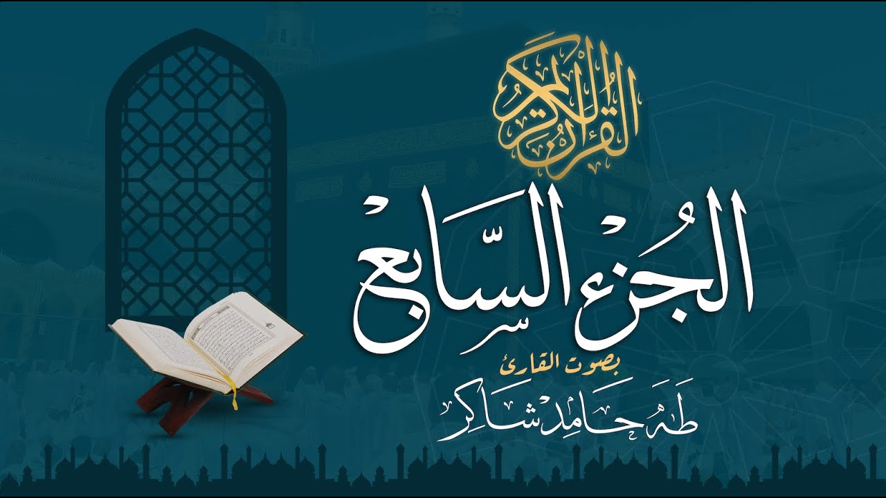 الجزء السابع