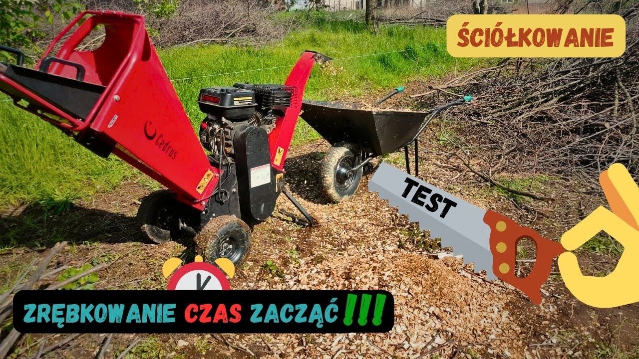 Zrębki Ściółkowanie ogrodu Test Rozdrabniacza spalinowego Cedrus RB02 Świeże zrębki czy kompostować?