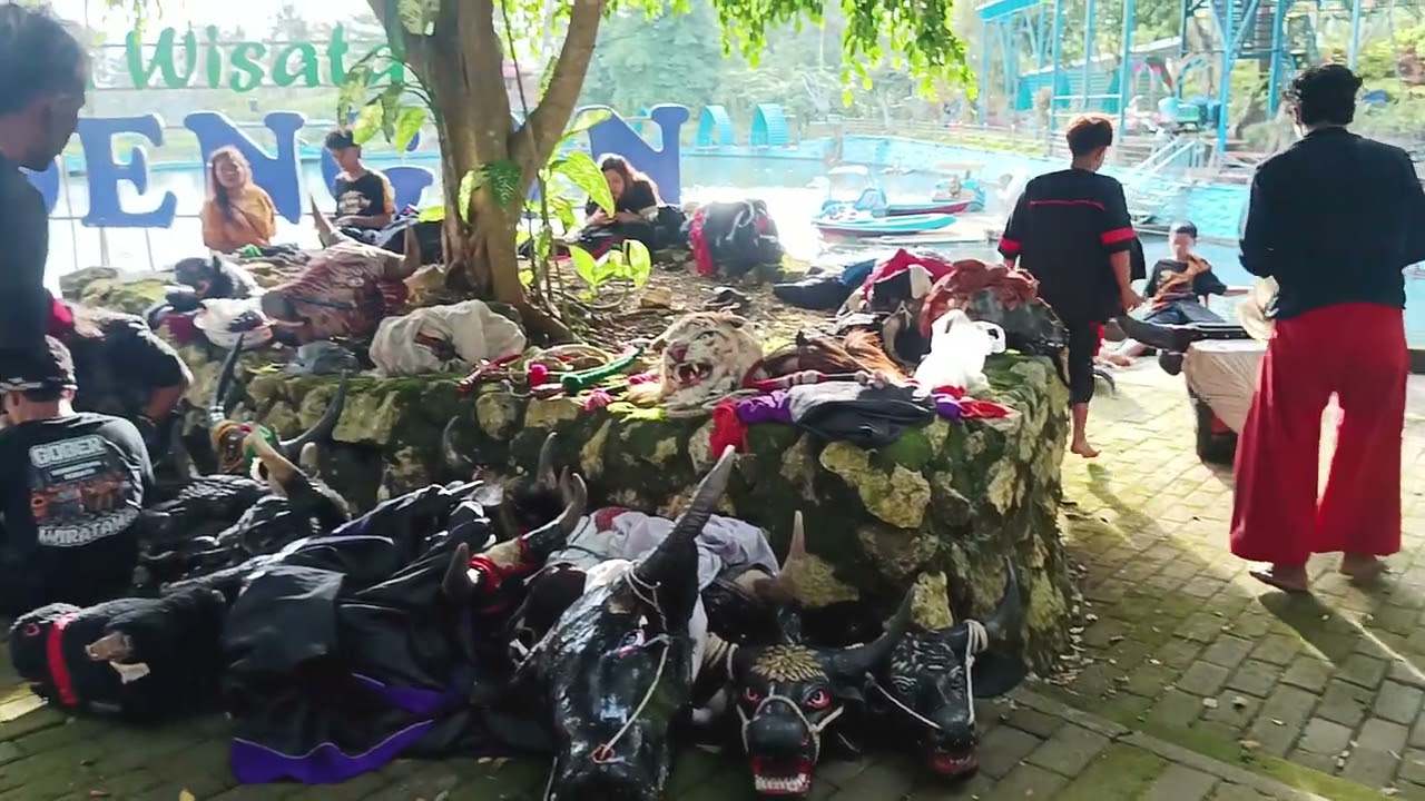 Persiapan Mberot Bantengan Lembu Suryo Joyo di Kolam Renang Bedengan Kaliasri 