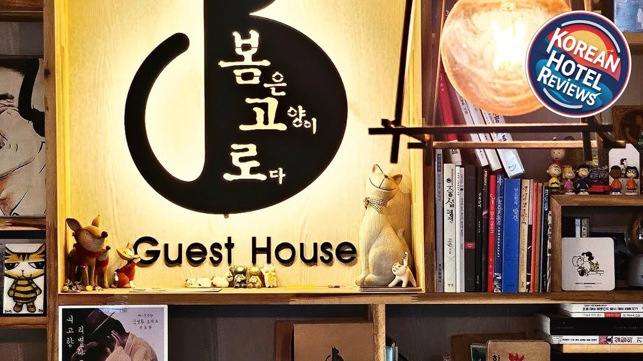 Bomgoro Guesthouse | Daegu, South Korea | Hotel Review 🏩