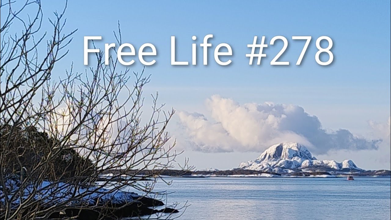 Free Life #278