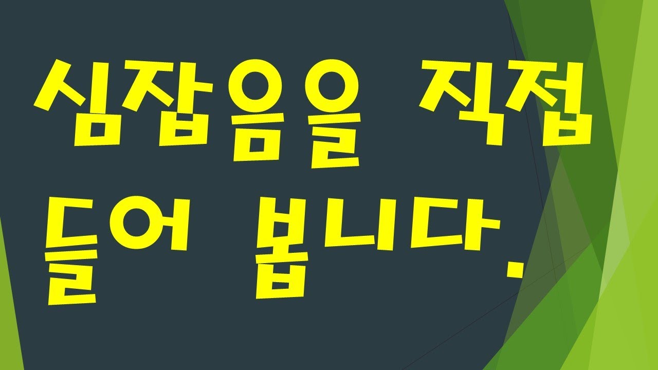 심장청진과 심잡음을 직접 들어 봅니다.