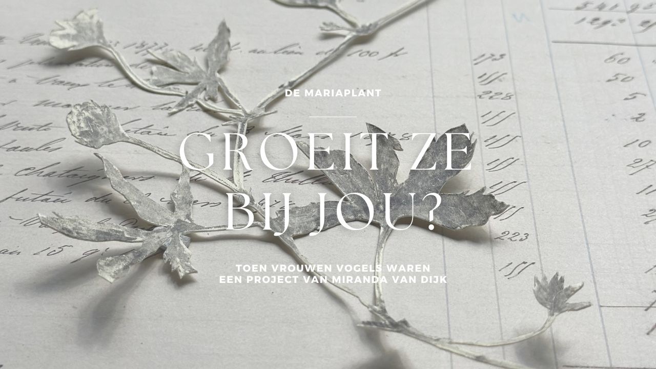 Help jij mee het herbarium compleet te maken?