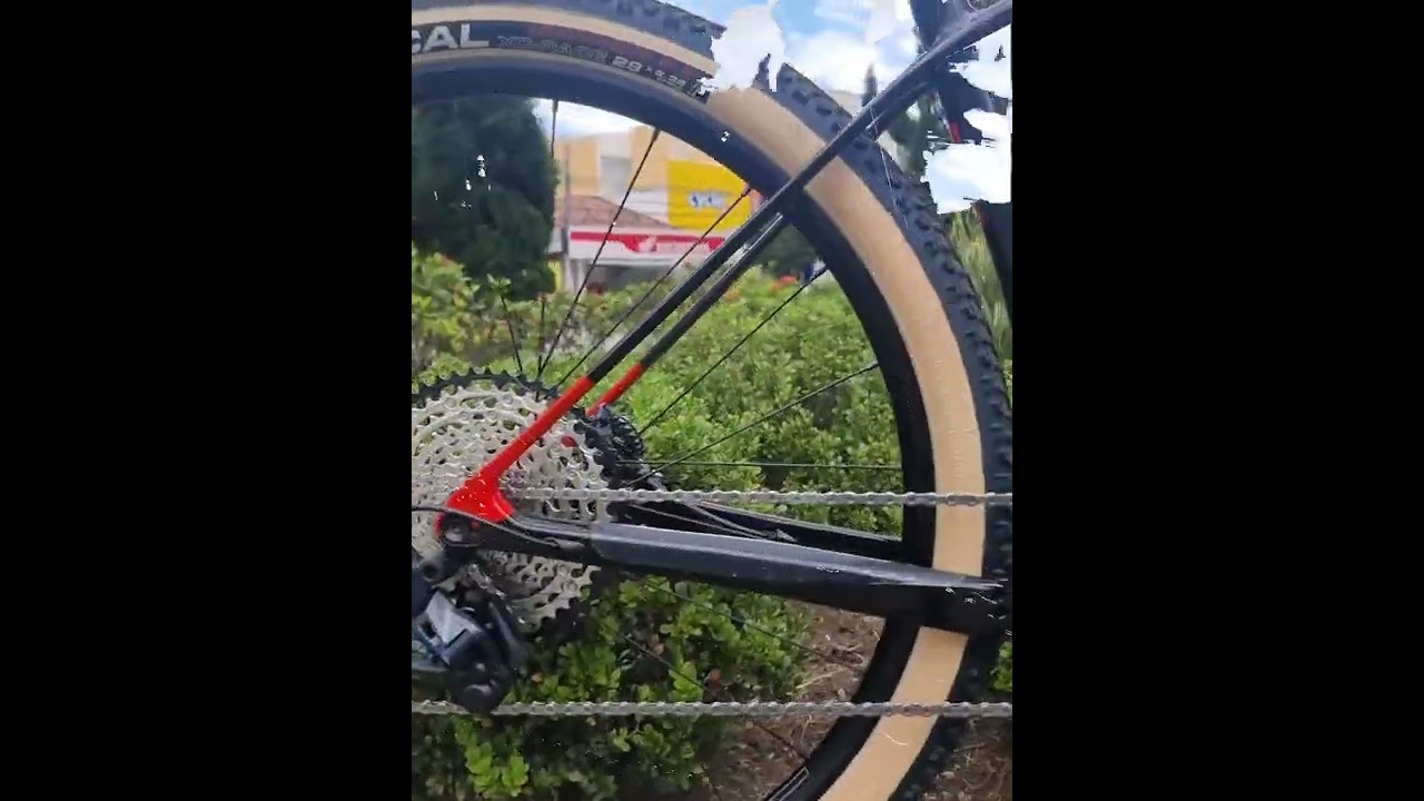 Audax AUGE 30 Carbon Cyclex Bike Shop