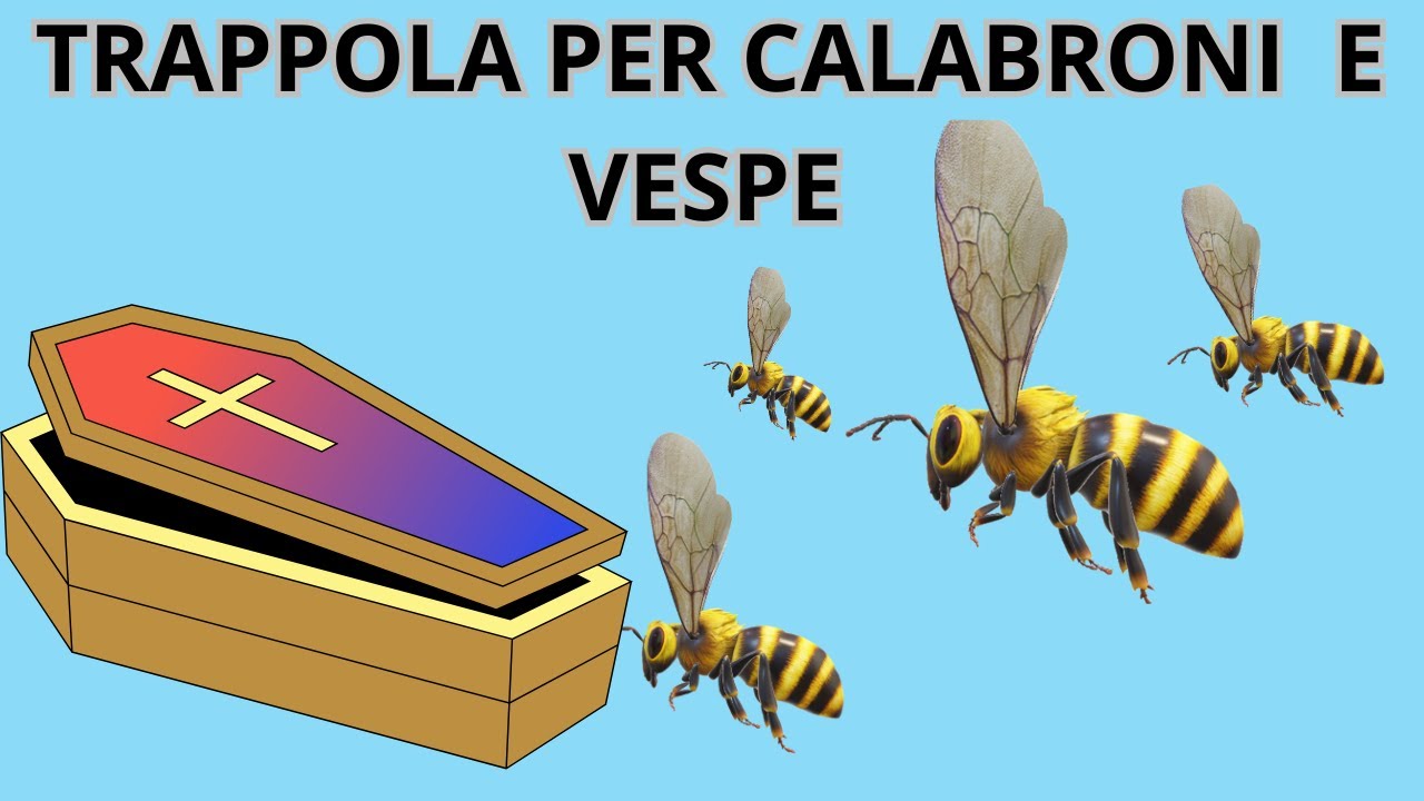 TRAPPOLA CALABRONI E VESPE