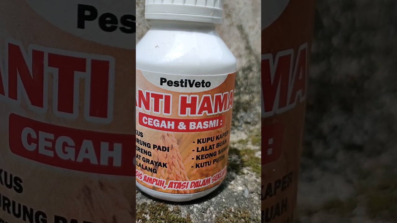 Obat Untuk Pembasmi Hama tanaman Padi