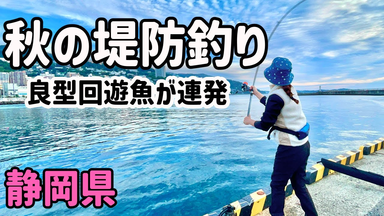 堤防で良型回遊魚が爆釣！試行錯誤でウキがズボッと沈みまくる！【静岡釣り】【2025.11】