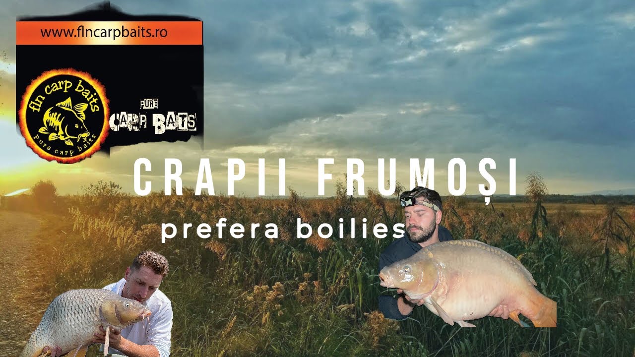 New Lake Lazuri 5 standul A2 Pescuit la crap