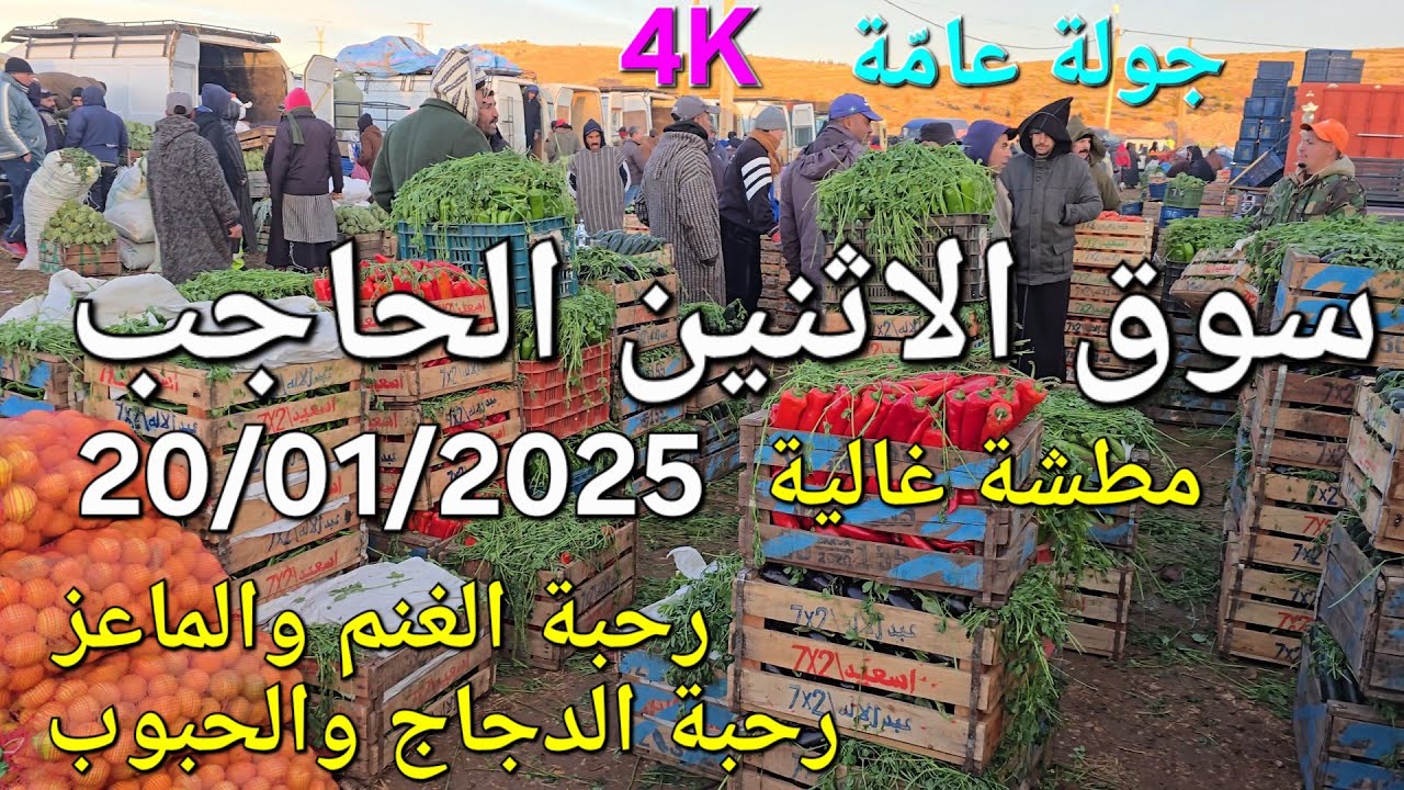 أثمنة الغنم والماعز والدجاج البلدي و الخضر سوق الحاجب اليوم الإثنين 20/01/2025