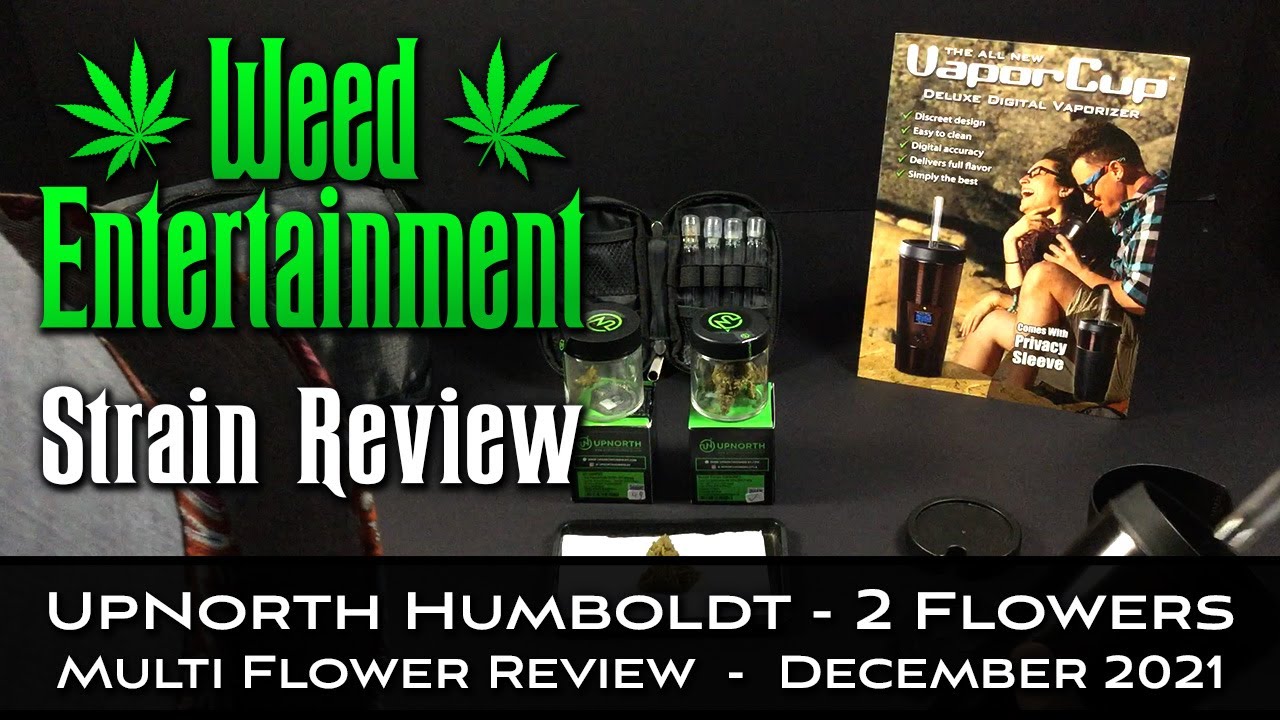 UpNorth Humboldt - Multi Flower Review - 2 Flowers - One Winner - December 2021