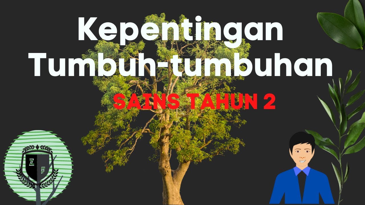 Sains Tahun 2-Kepentingan Tumbuh-Tumbuhan