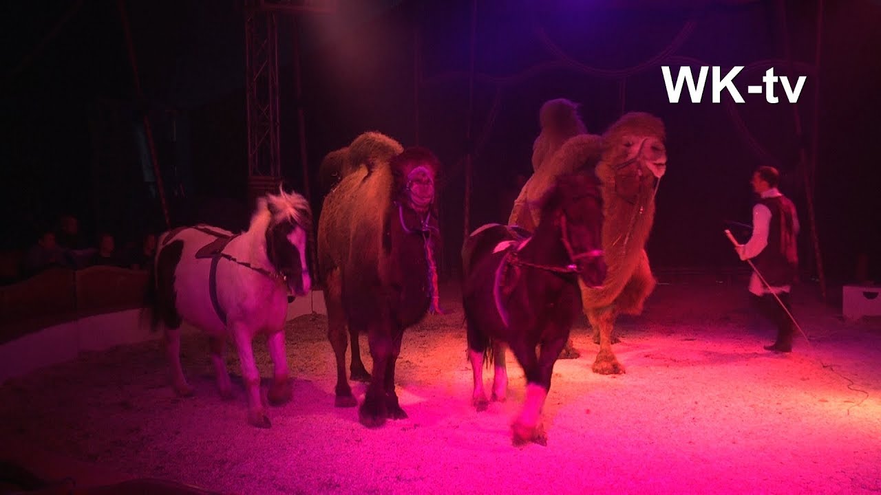 Zirkus HUMBERTO 2018 - Wittstock-tv - „Menschen, Tiere, Sensationen“
