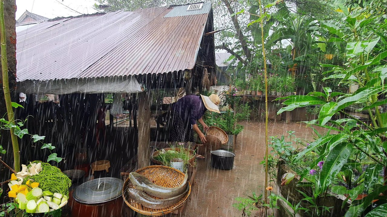 Cooking on rainy day! Traditional Village Cooking, Organic Food in Countryside