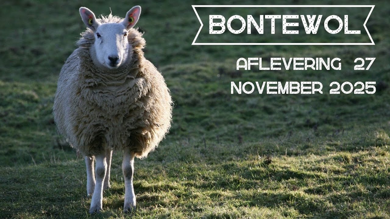 Bontewol afl. 27 (november 2025)