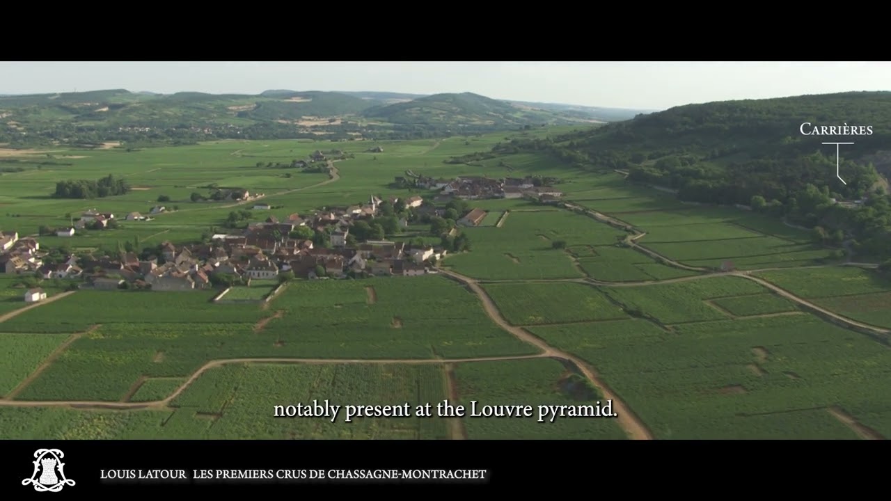 Episode 16 : Chassagne-Montrachet Premiers Crus