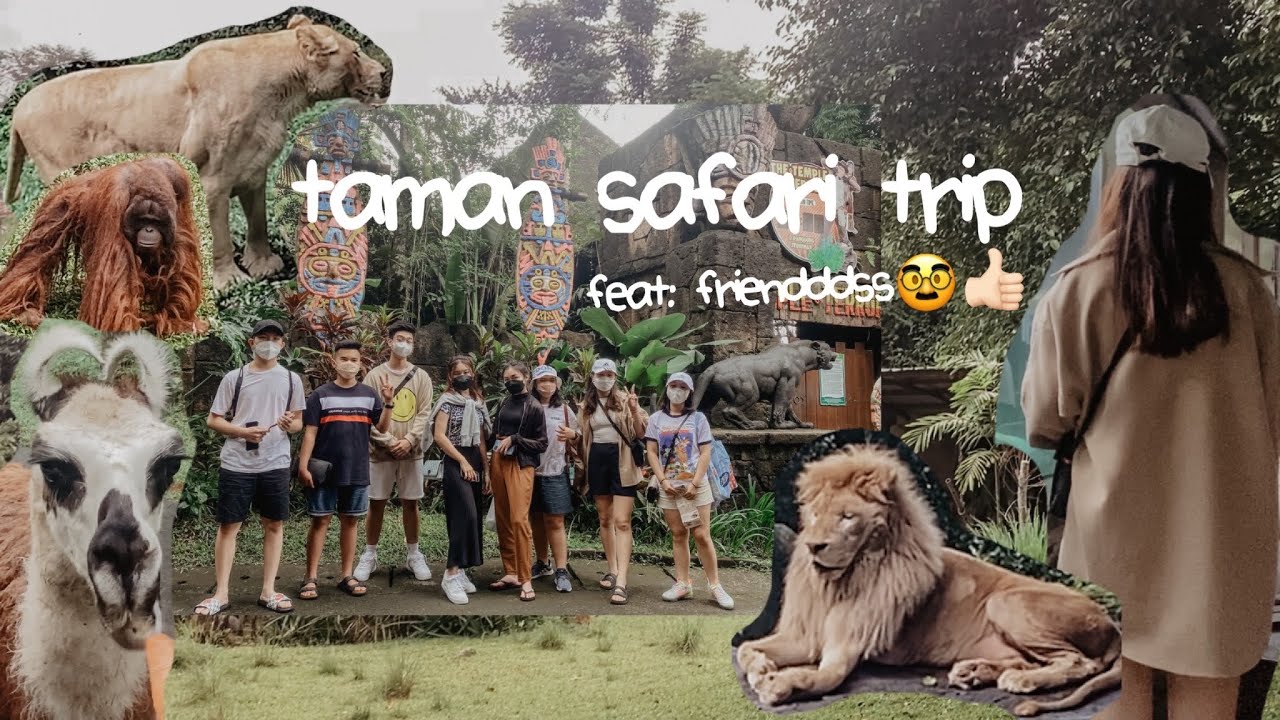 fun Taman Safari Trip feat friendss😍 ketemu hewan gemas🫣