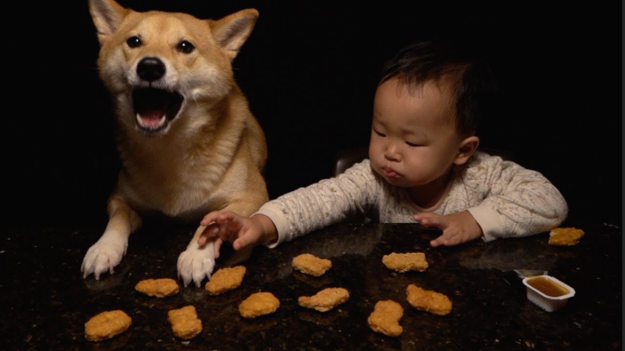 A Very Serious Chicken Nugget Mukbang.
