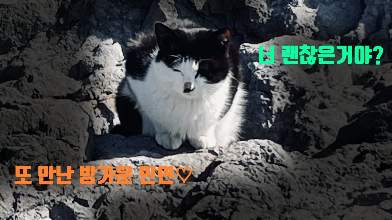 [EP.06] 3연꽝과 추위에 넉다운이지만 다시 만난 방가운 얼굴~