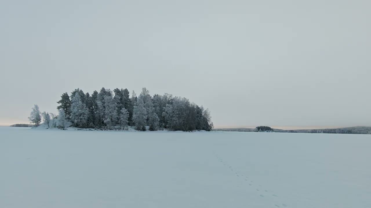 Winter morning on the frozen lake. Silence, a bird and ice cracking. -25°C