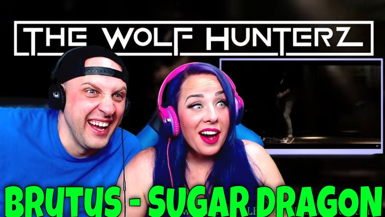 Brutus - SUGAR DRAGON (Live in Ghent) THE WOLF HUNTERZ Reactions