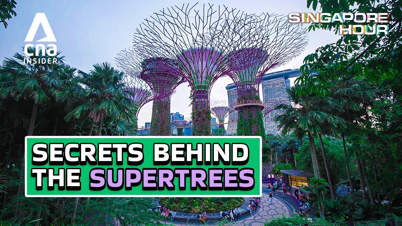 The Hidden Work Behind Singapore&rsquo;s Gardens By The Bay | Singapore Hour