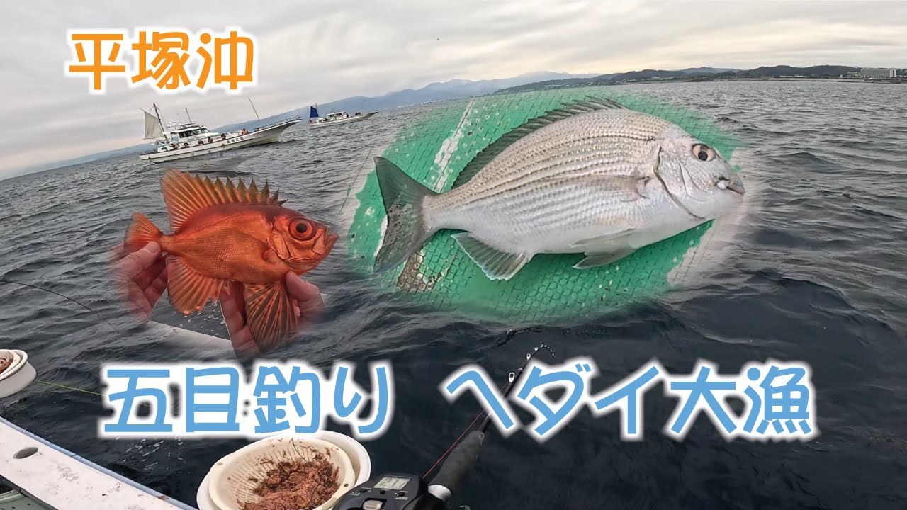相模湾 五目釣り ヘダイ大漁