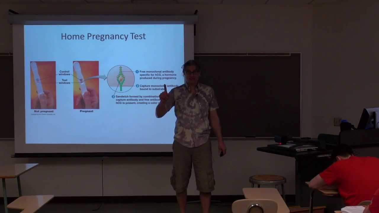 Cheap Home Pregnancy Tests