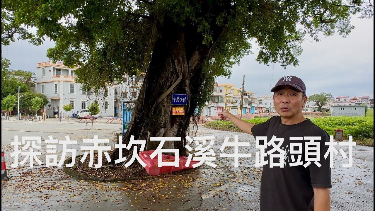 廣東僑鄉開平市kaiping赤坎鎮“關氏”族人聚居的石溪牛路頭古村落。