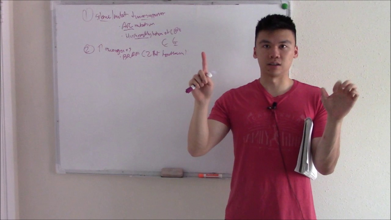 USMLE GIT 10: Colon Cancer Mechanism and Pathways