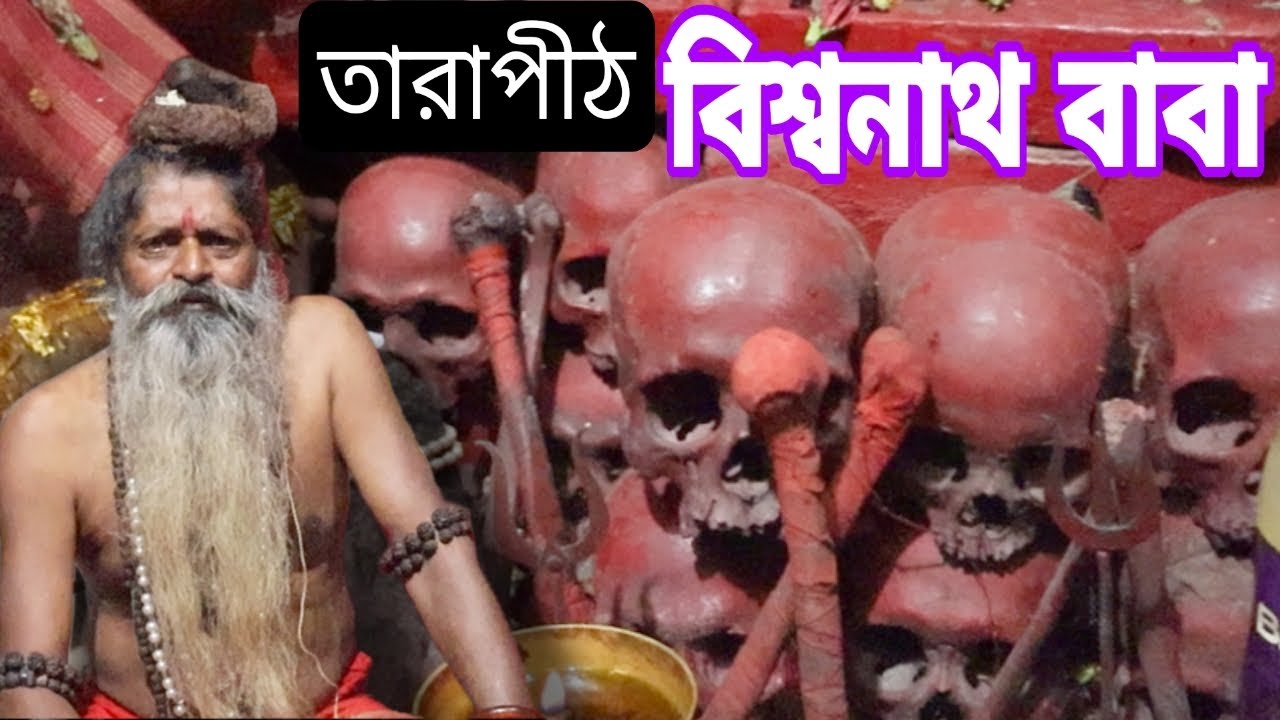 ভয়ঙ্কর তারাপীঠ মহাশ্মশান, তান্ত্রিক বিশ্বনাথ বাবা...