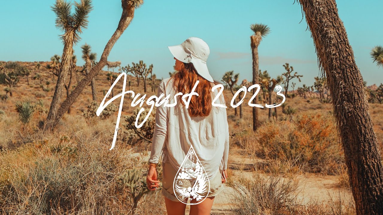 Indie/Pop/Folk Compilation - August 2023 (2-Hour Playlist)