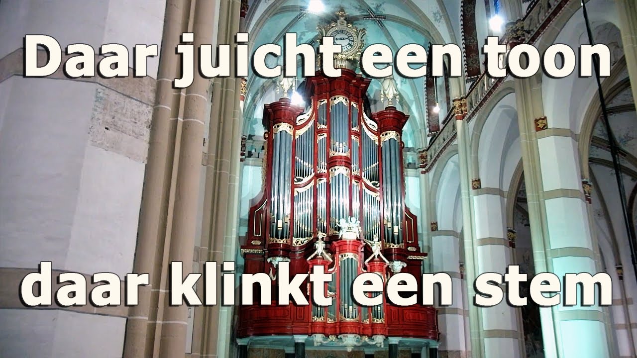 Daar juicht een toon daar klinkt een stem - orgelimprovisatie Sint Maartenskerk Zaltbommel #orgel