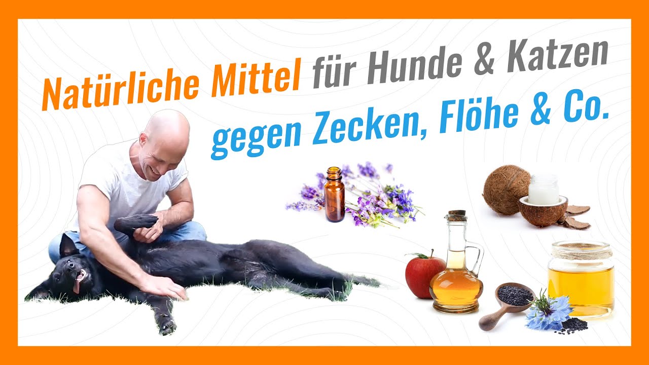 Natürliche Mittel gegen Zecken, Flöhe, Milben & andere Parasiten für Hunde und Katzen
