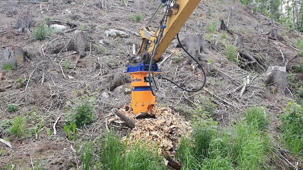 Dipperfox demo 160621