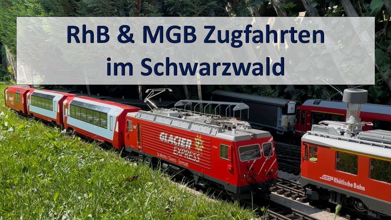 RhB & MGB Zugfahrten im Schwarzwald