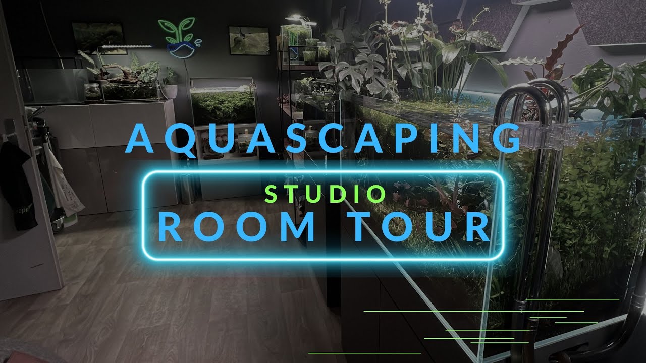 Aquascaping Studio Room Tour 2024 - Emotion in Aqua