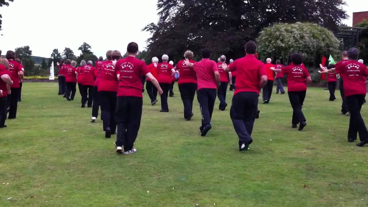 Taoist Tai Chi Society