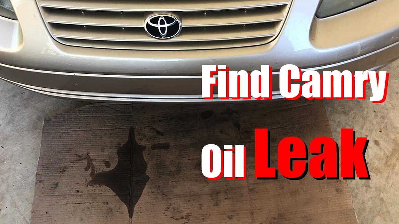Find Toyota Camry Oil Leak Location & What to Expect to Repair 4 Cylinder 5s-fe Engine
