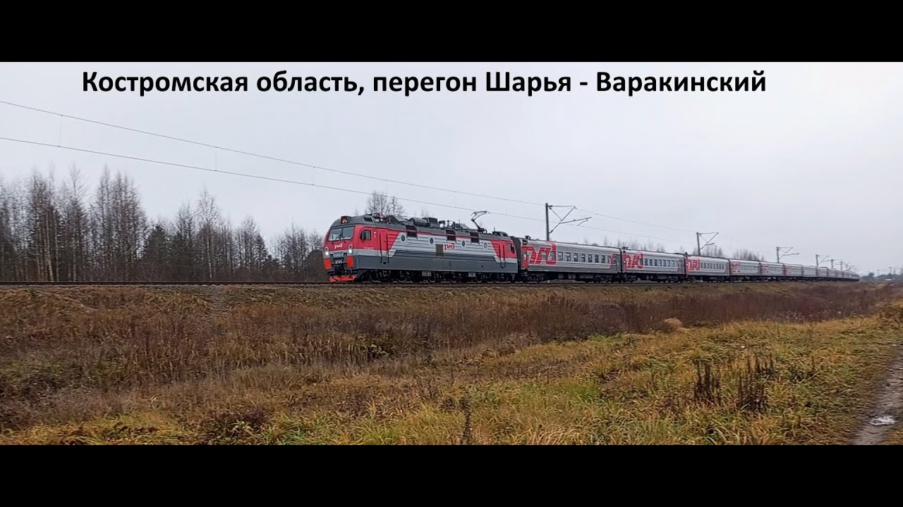 Подборка поездов в разных местах на перегоне Шарья - Варакинский. Костромская область. Часть 2