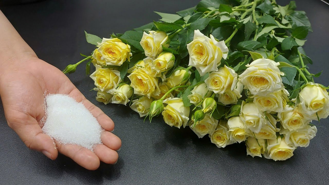 Секрет флориста: как сохранить свежие цветы на целый месяц и не допустить их гниения!