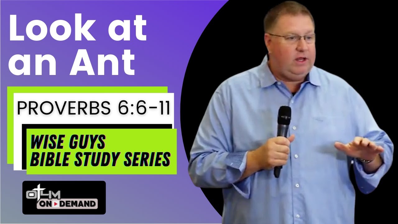 Look at an Ant - Proverbs 6:6-11 | Men's Bible Study