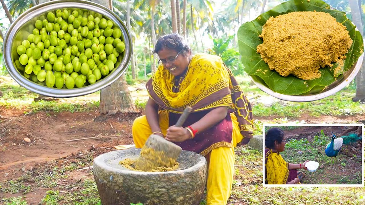 சுண்டக்காய் இருந்தா இனிமே இப்படி செய்ங்க / இட்லி - சுடு சோறுக்கு சூப்பர் டிஷ் / Sundakaai Thogaiyal