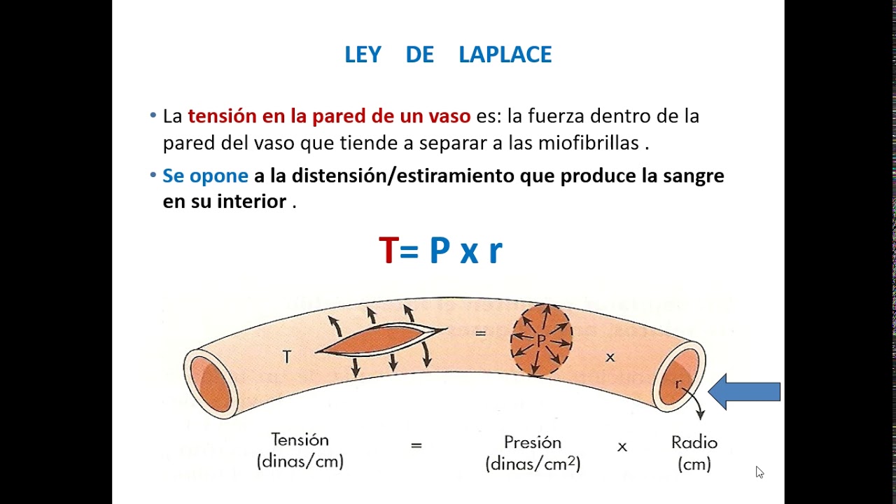 3. Ley de Laplace